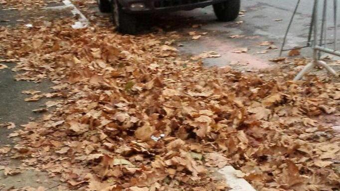 Via Buozzi, controllo pulizie e spostamento cassonetti