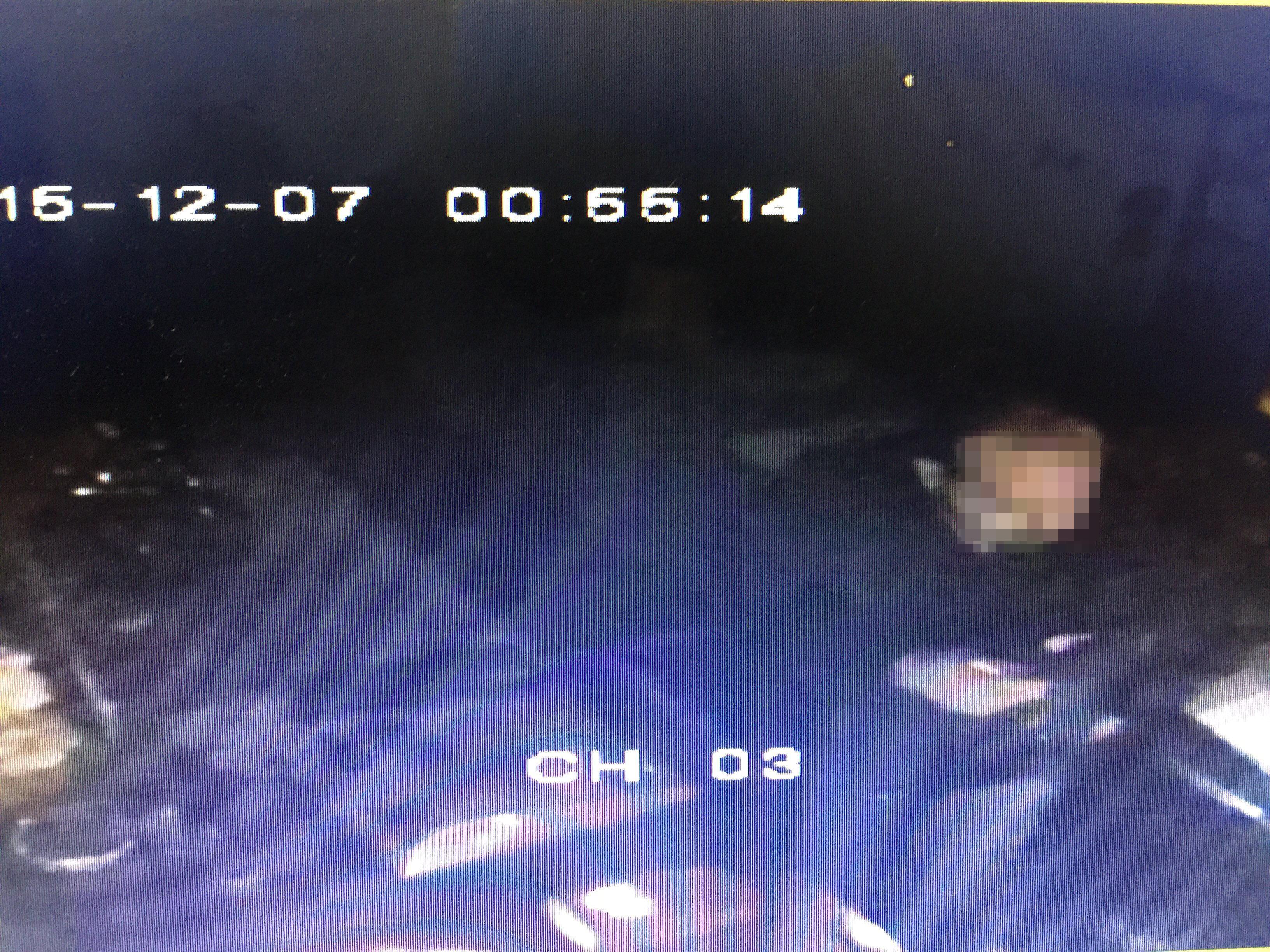 Il ladro in azione nella pizzeria di Tiziano Puppo ripreso dalle telecamere (foto Franco Silvi)