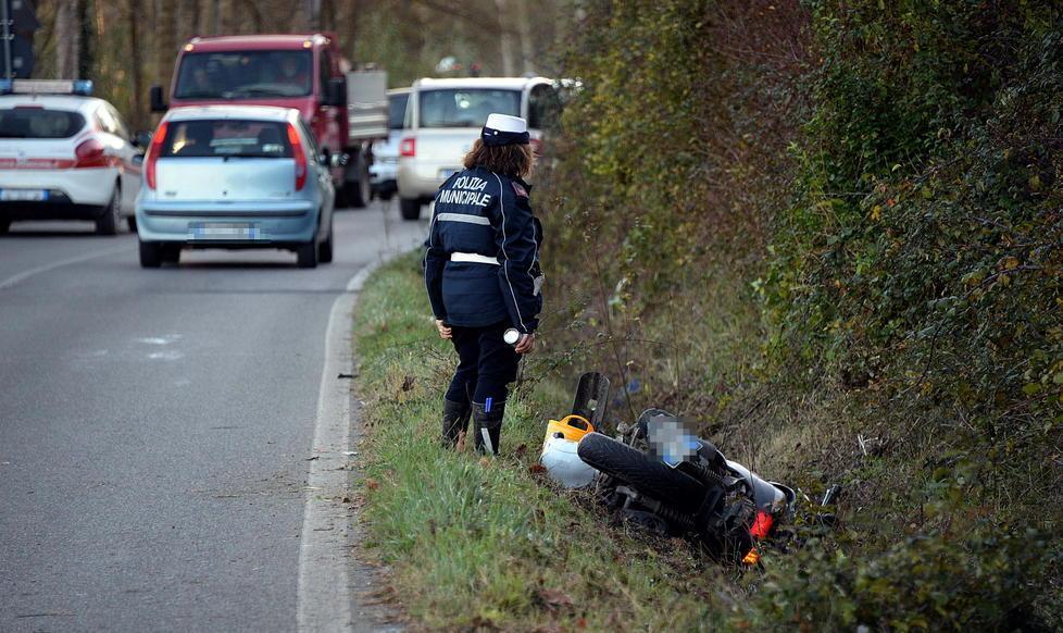 Investe un capriolo in via del Commercio