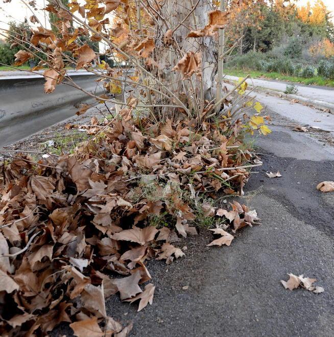 Paradosso ciclabile: nessuno deve pulire 