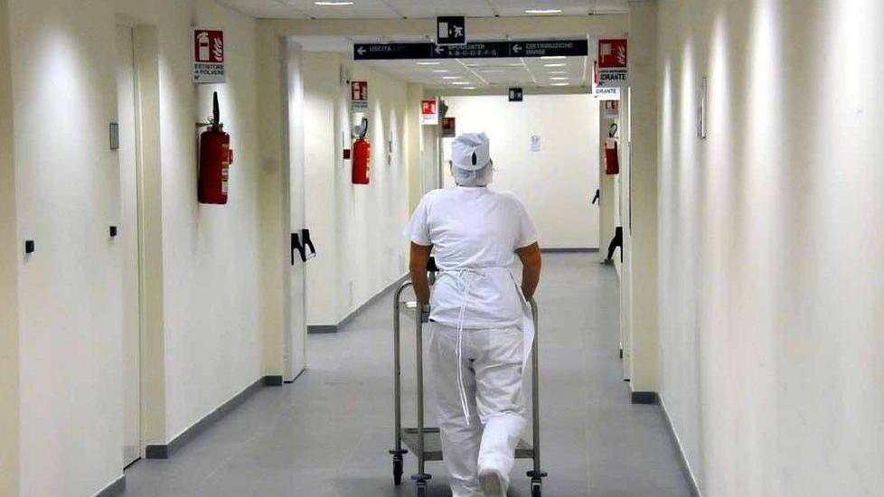 Massa, ospedale nuovo trovati alcuni topi