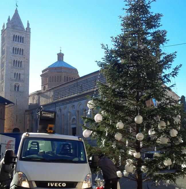 Grazie alle mamme Massa Marittima avrà l’abete natalizio 
