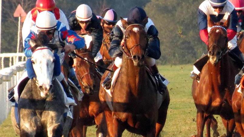 Varenne e il Criterium: San Rossore in festa