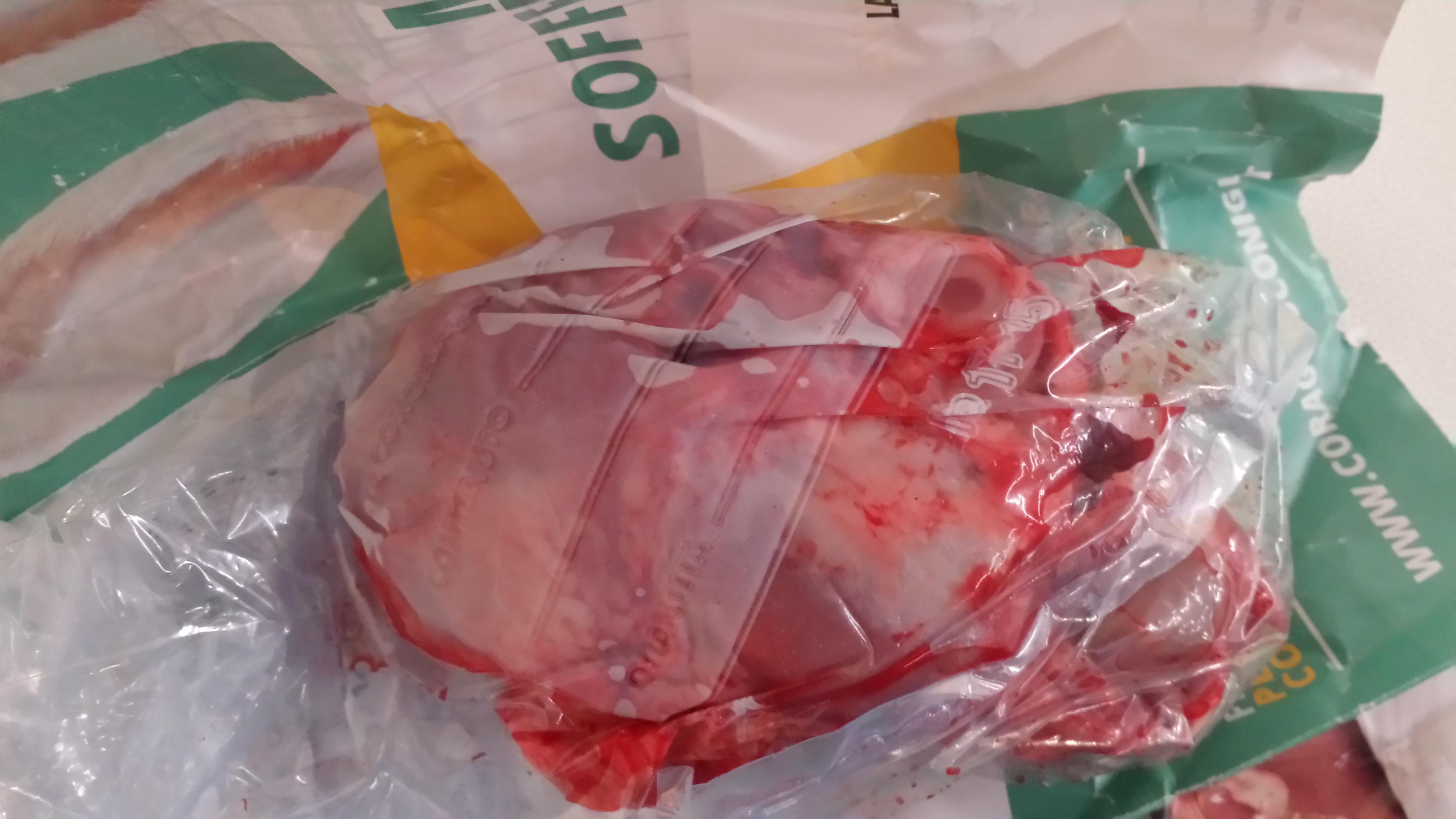 La testa del coniglio lasciata sul banchetto della Lav