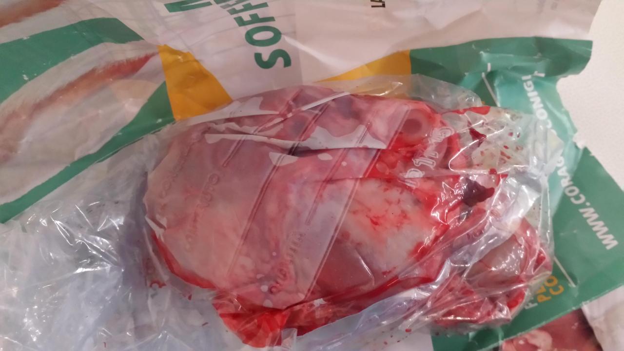 La testa del coniglio lasciata sul banchetto della Lav