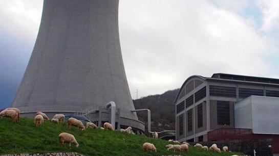 Enel, 250 assunzioni in 3 anni a Larderello per la geotermia