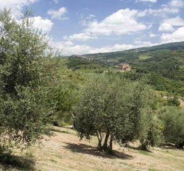 L’agricoltura di qualità torna a crescere 