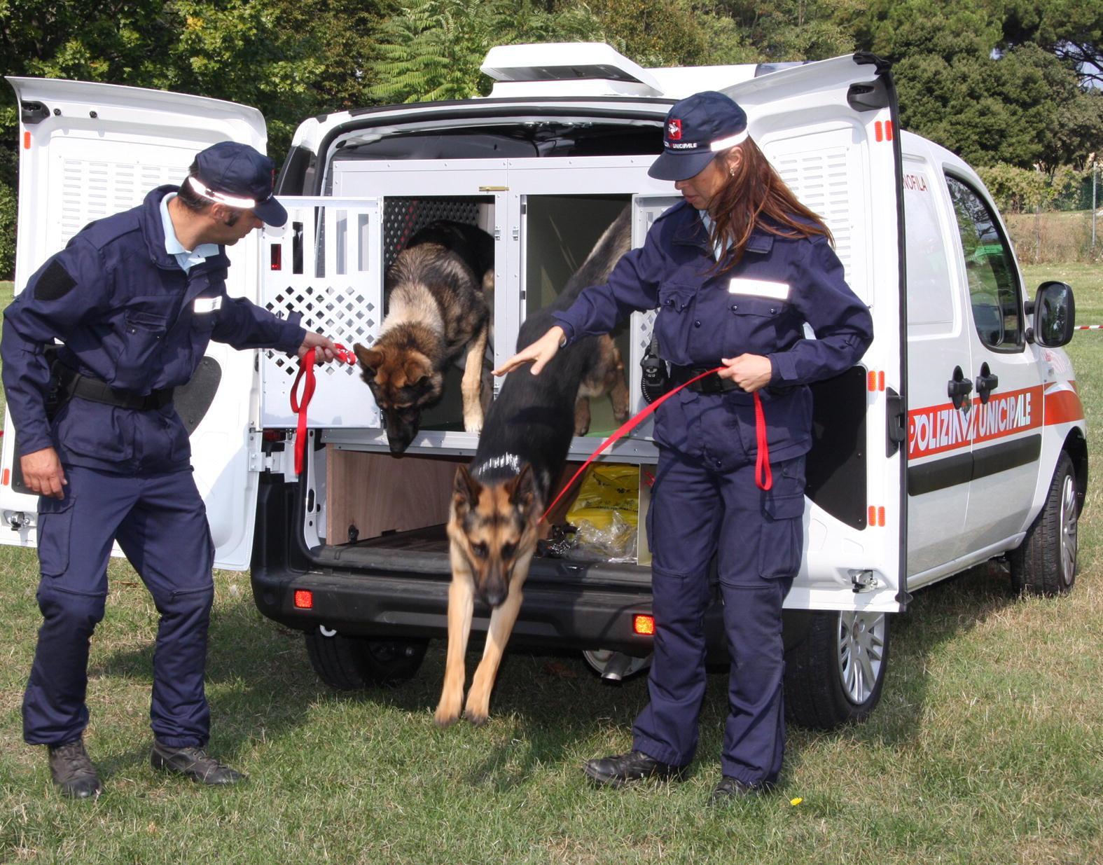 I cani antidroga della polizia municipale 