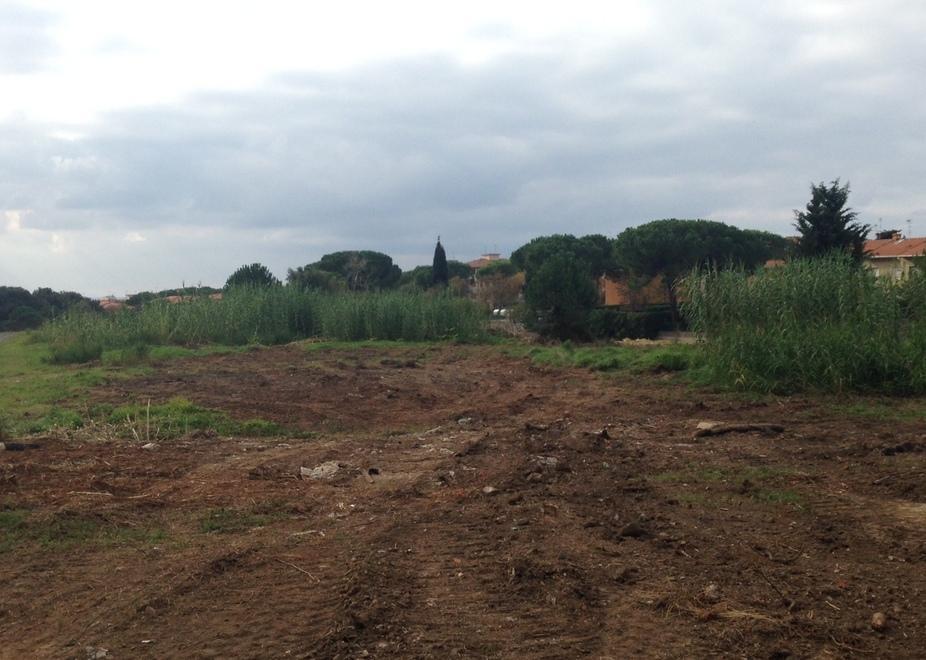 Ripulita l'area dove sorgerà il distretto sanitario
