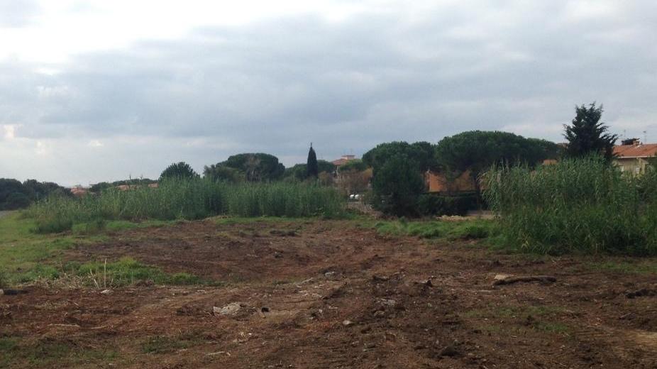 Ripulita l'area dove sorgerà il distretto sanitario