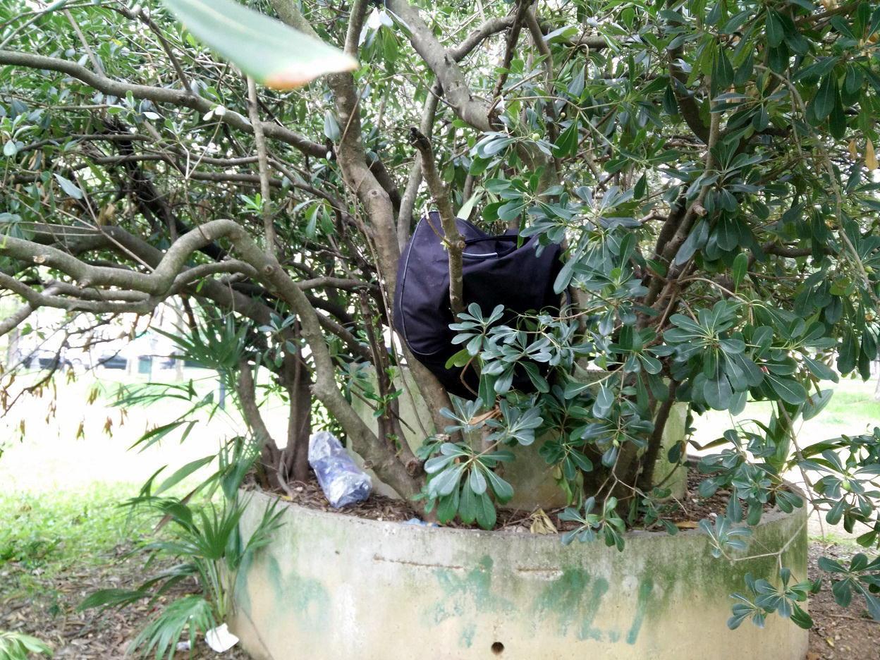 Il degrado del giardino