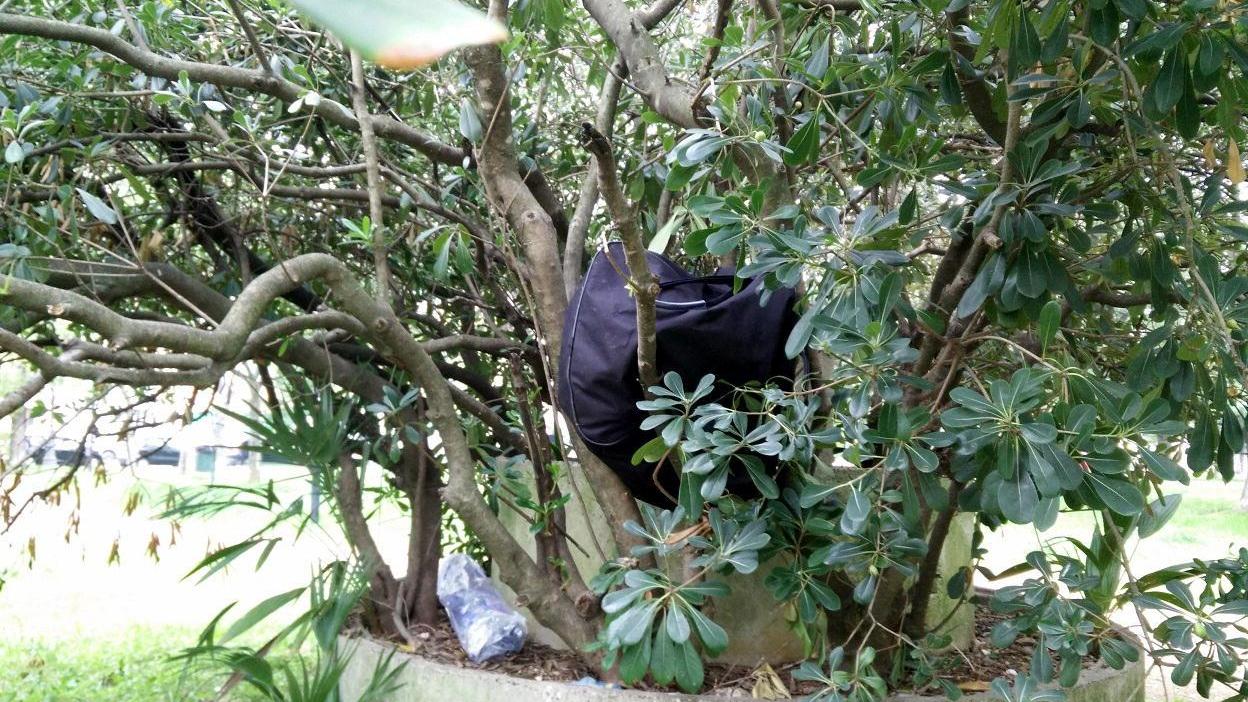 Il degrado del giardino