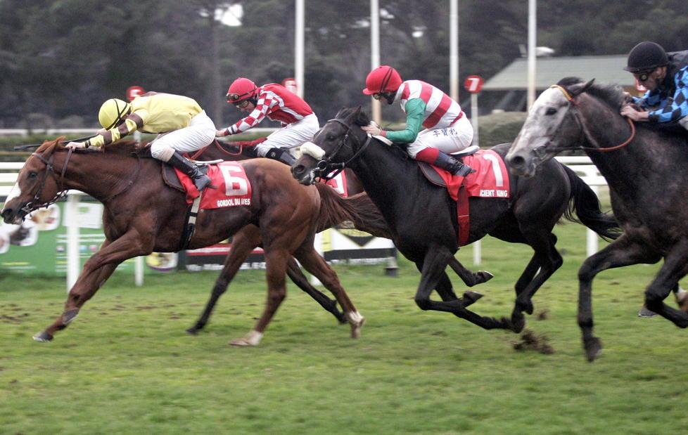 All’ippodromo il premio “Scotto” 