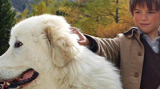 Per una volta il “sequel” è meglio del primo film