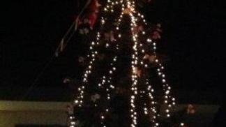 Vione ha l’albero di Natale grazie a un gruppo di giovani