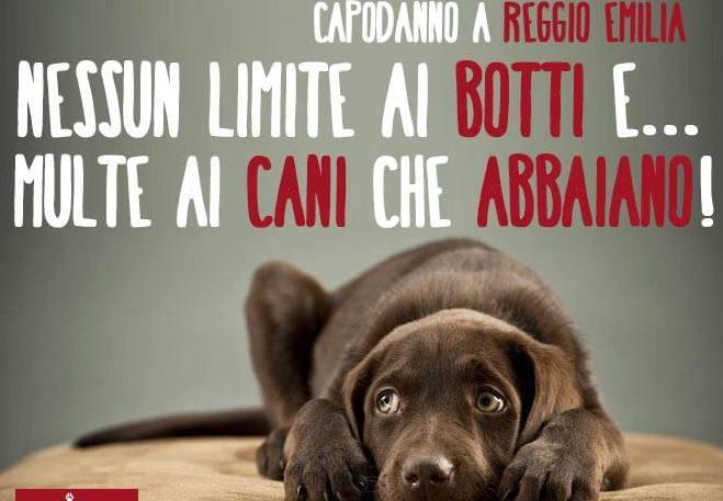 «A Reggio Emilia, botti liberi e multe ai cani» 