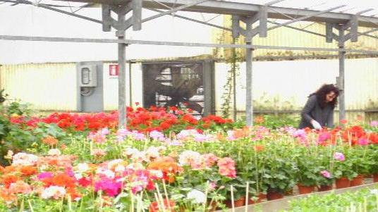 Anche gli agronomi dicono «no»