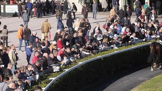 Ottanta cavalli in gara a San Rossore