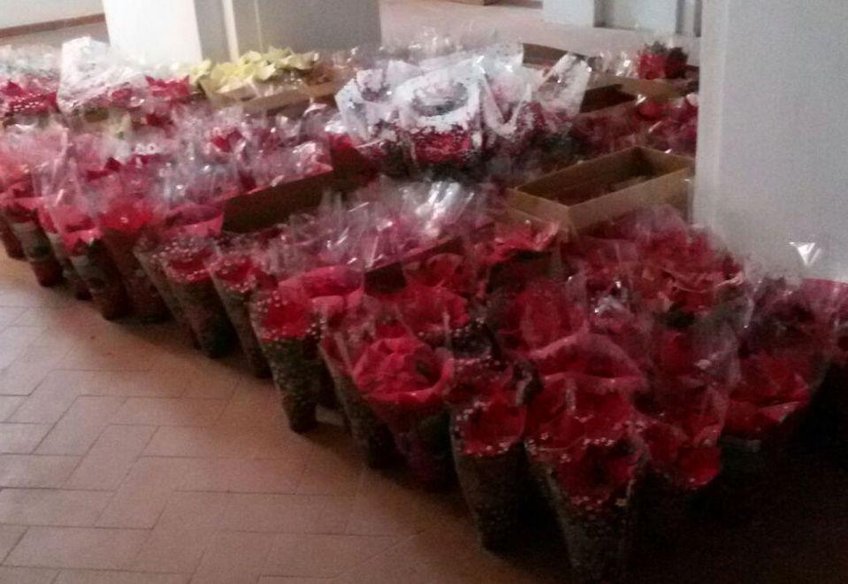 Sequestrate oltre 400 stelle vendute senza licenza