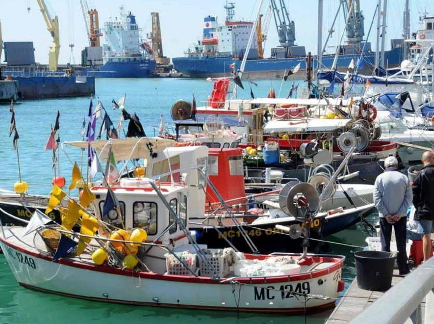 Come ti traccio il pesce fresco 
