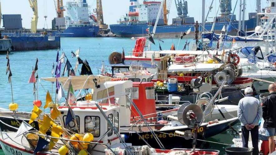 Come ti traccio il pesce fresco