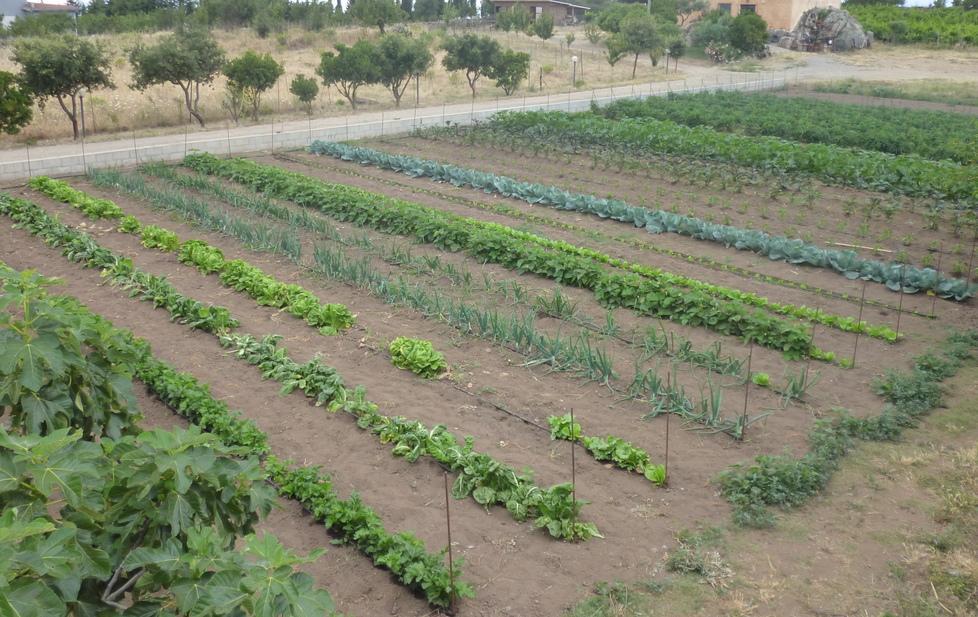 Imu agricola, la Regione vince al Tar 