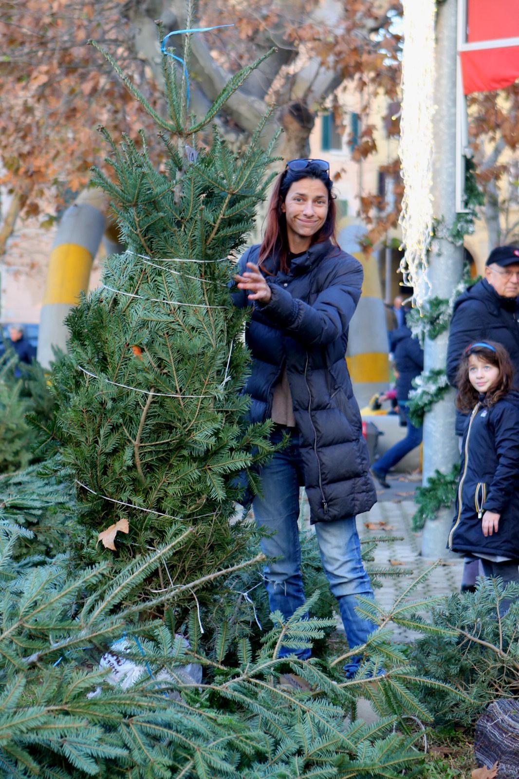 Alberi veri per Natale