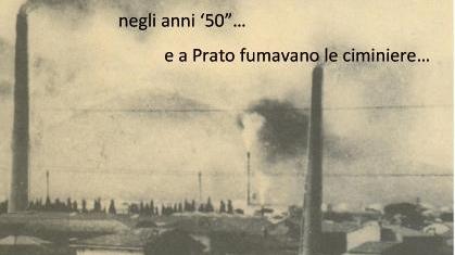 La copertina del libro di Luana Cecchi