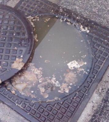 Via Puliche: una vita tra i liquami 