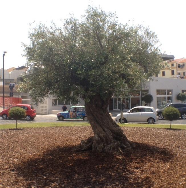 Arrivano i fondi per la manutenzione di 44 spazi verdi