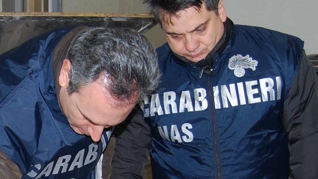 Controlli dei Nas