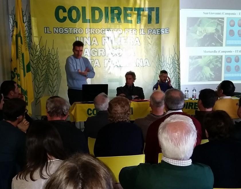 Orti e annessi, le nuove misure 