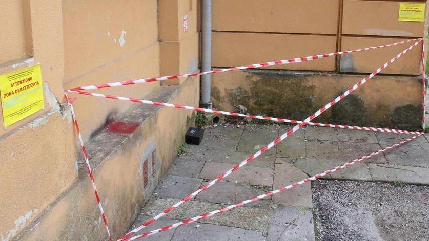 Il precedente un mese fa alle Micheli L’allarme era stato dato dai genitori