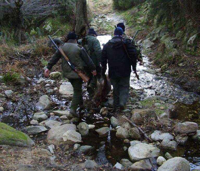 La palla si frammenta e colpisce un cacciatore 