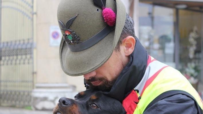Gli amici cani che salvano vite