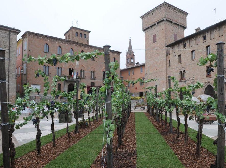 Lambrusco da tutelare: barricate bipartisan