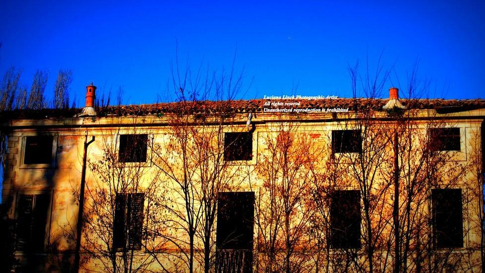 Quando l’abbandono può diventare un’arte