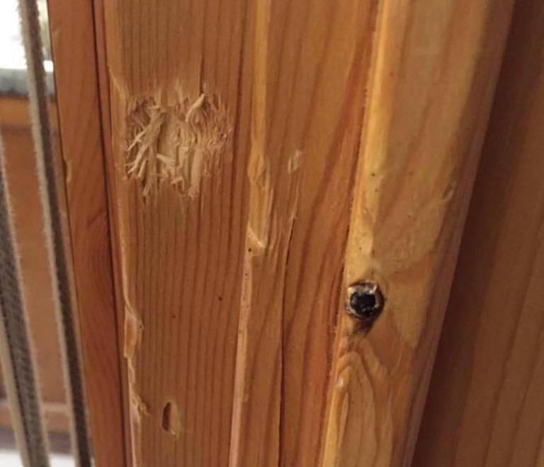 Scopre i ladri sul terrazzo li rincorre e li mette in fuga 