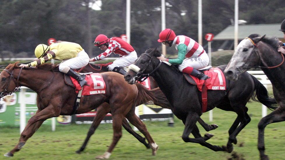 San Rossore, fari puntati sul premio Gubellini