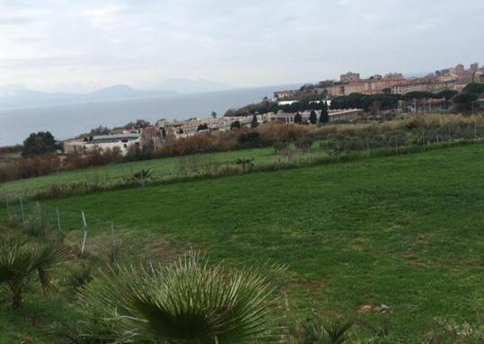 Ora a disposizione altre due aree da vivere con i cani