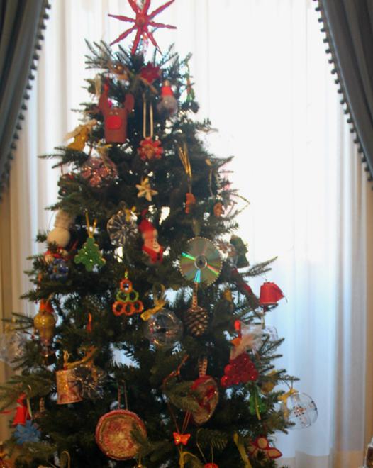 I bambini donano l’albero ecosostenibile