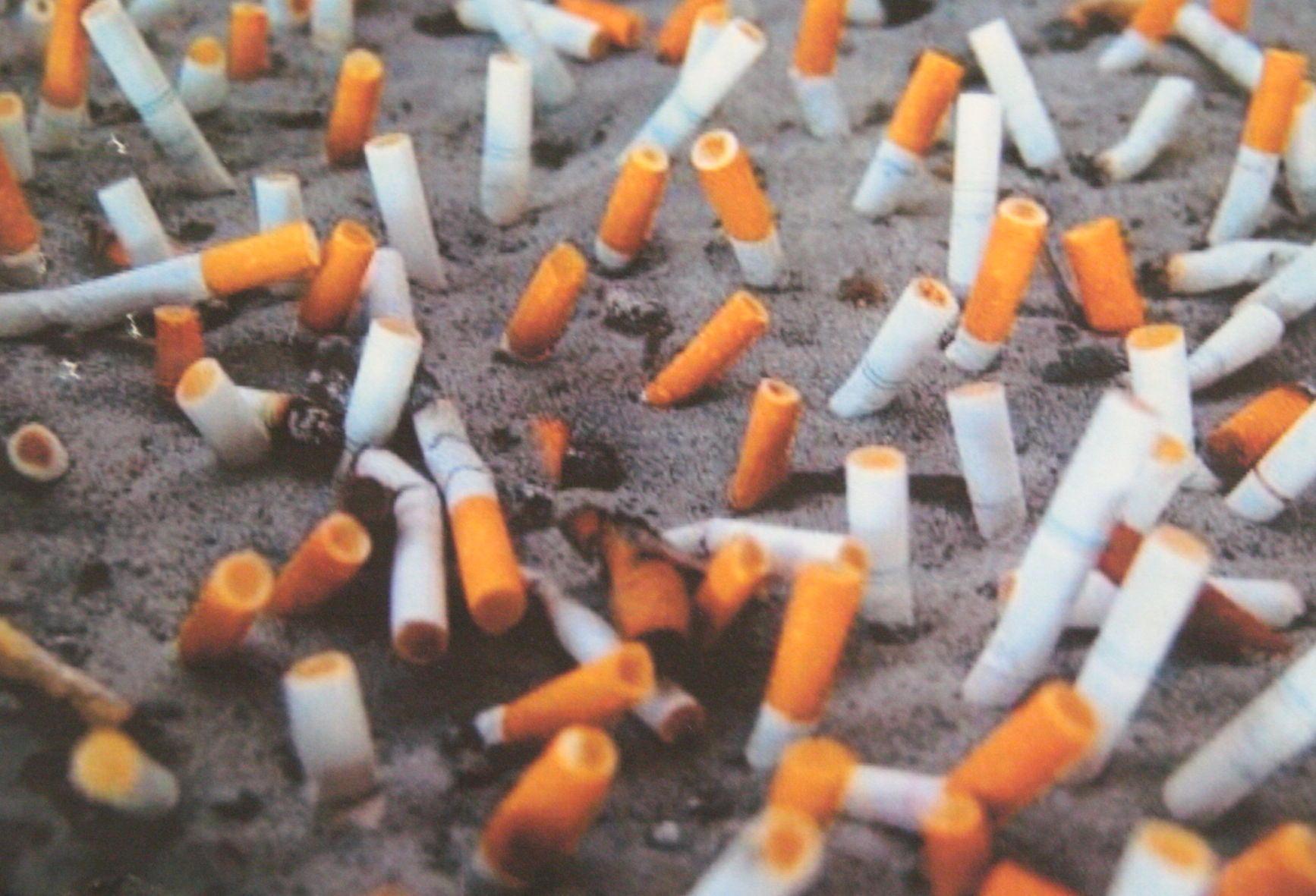 Cicche, cartacce, chewing gum: legge e multe per le città pulite 