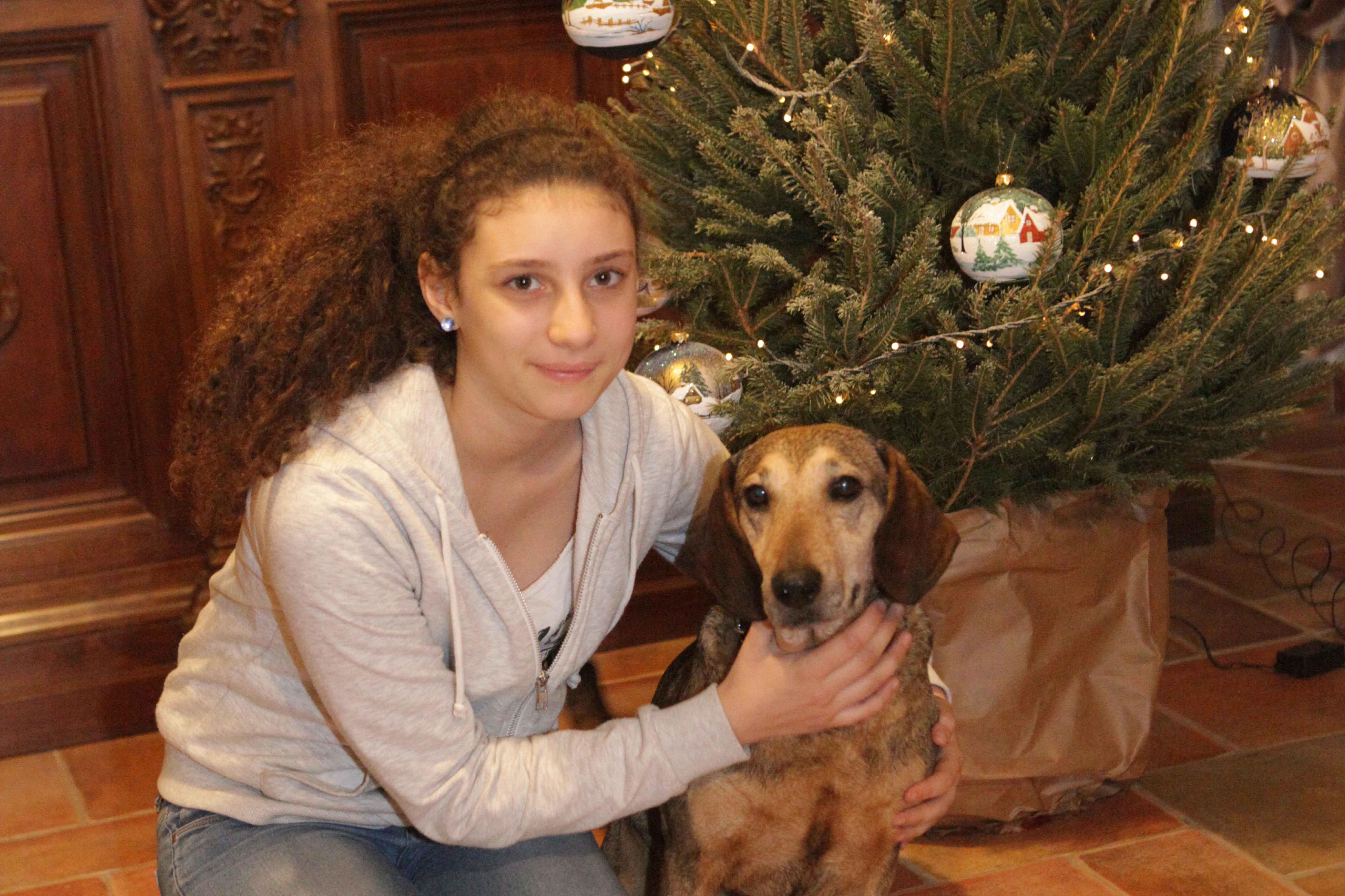 Milly abbandonata incinta ha trovato famiglia grazie all'amore di una bambina