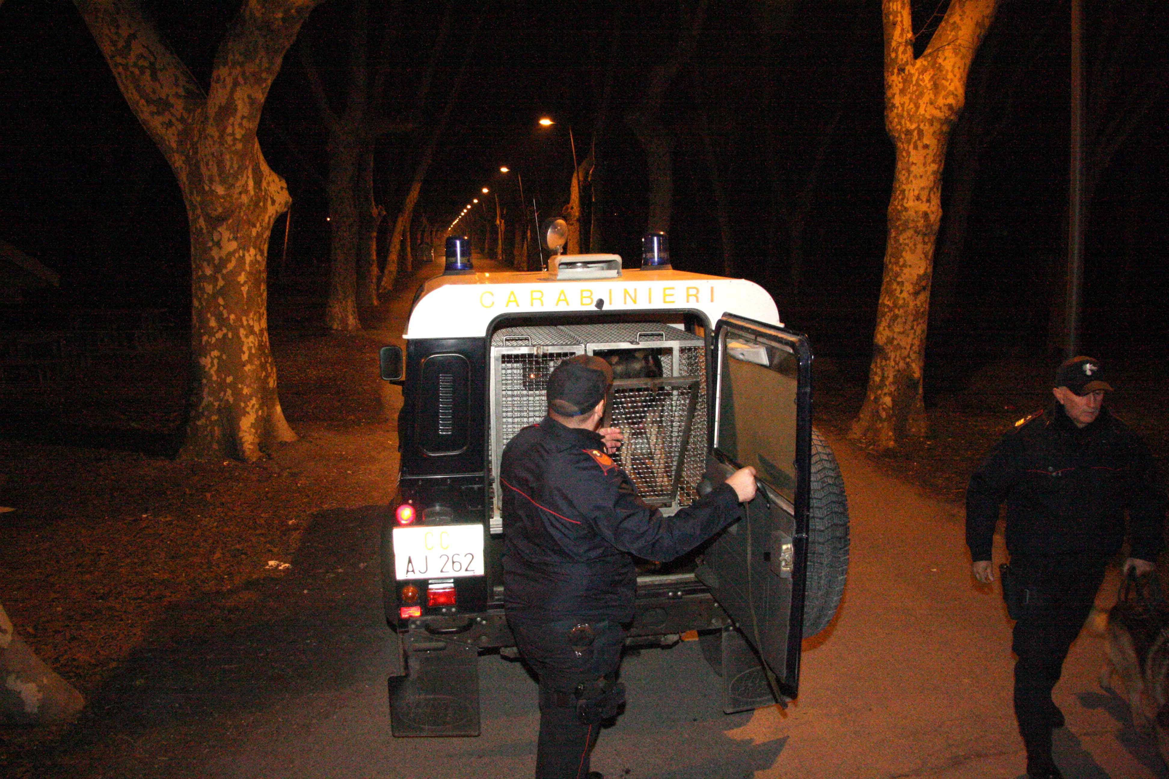 Controlli dei carabinieri nella pineta di ponente