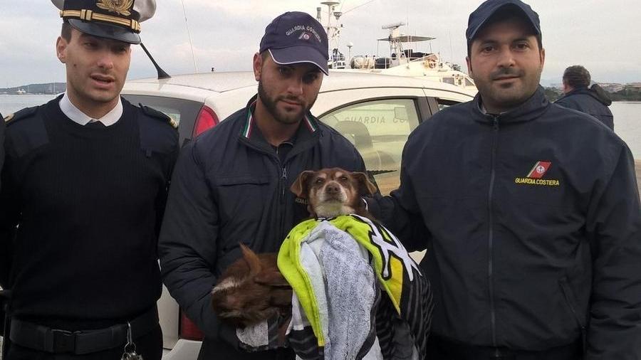 Natalino cade in mare: soccorso dai marinai