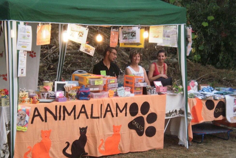 Per i gatti randagi una raccolta fondi e l’acquisto di cibo