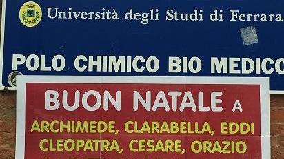 Libertà per i macachi prigionieri
