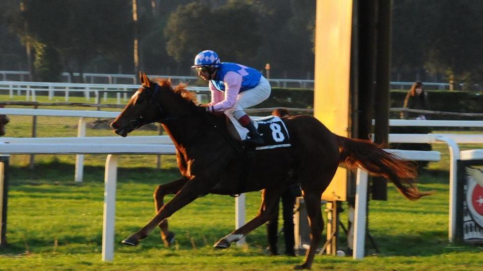 San Rossore, a Salure il premio Ippodromo
