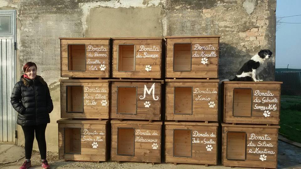Regalo di Natale al canile di Novellara: settanta nuove cucce 