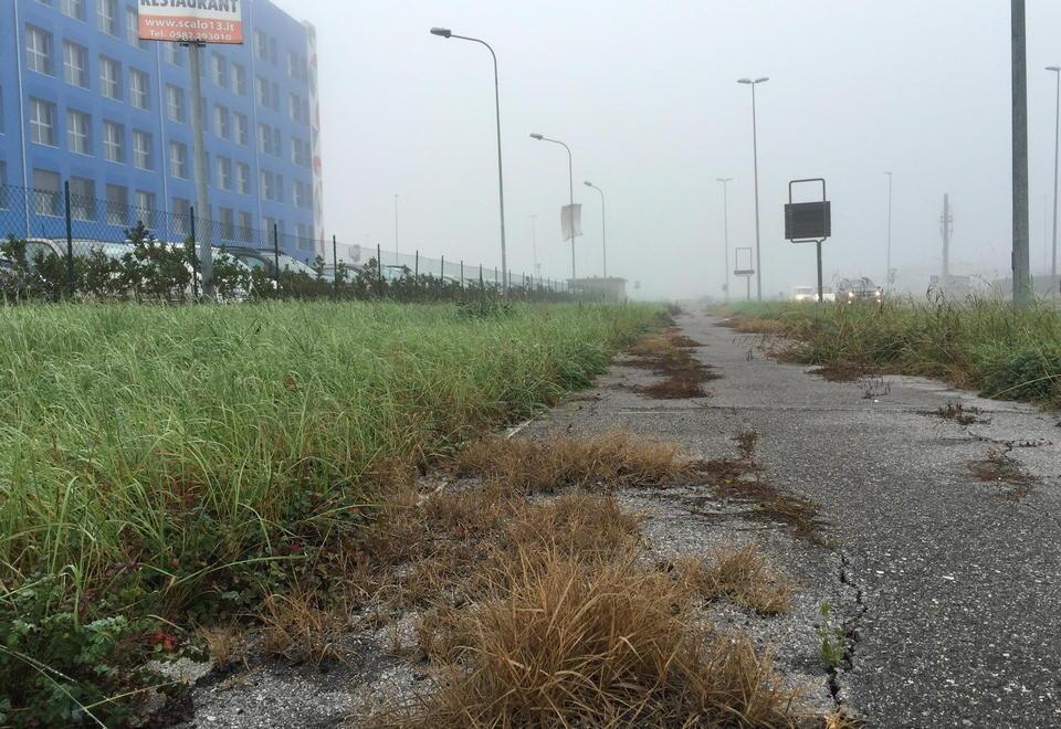 La pista ciclabile che sembra un orto 